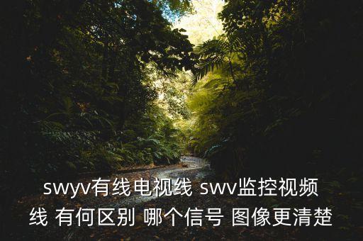 swyv有線電視線 swv監(jiān)控視頻線 有何區(qū)別 哪個信號 圖像更清楚