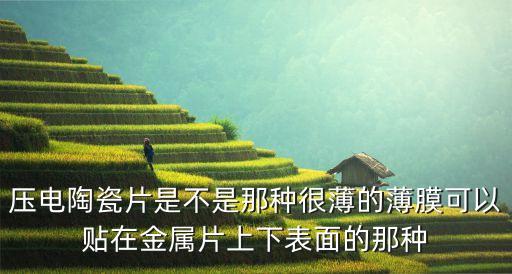 壓電陶瓷片，什么是手機屏幕用壓電陶瓷觸控片和換能片有區(qū)別嗎需要專業(yè)回答