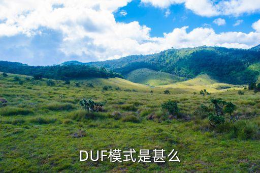 DUF模式是甚么