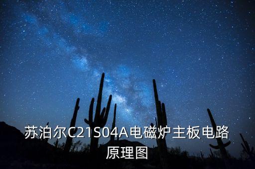 蘇泊爾C21S04A電磁爐主板電路原理圖