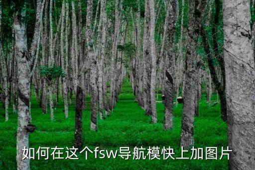 fsw，什么叫FSW焊接