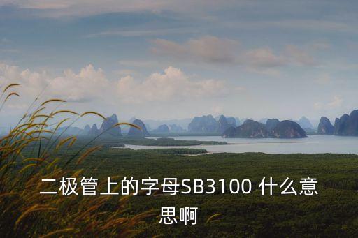 二極管上的字母SB3100 什么意思啊