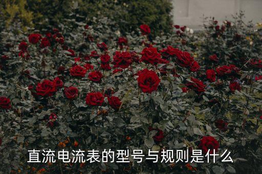 直流電流表的型號與規(guī)則是什么