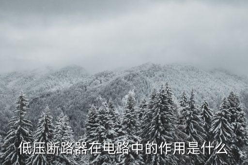 低壓斷路器在電路中的作用是什么