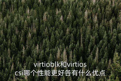 virtioblk和virtioscsi哪個性能更好各有什么優(yōu)點