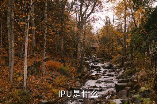 IPU是什么