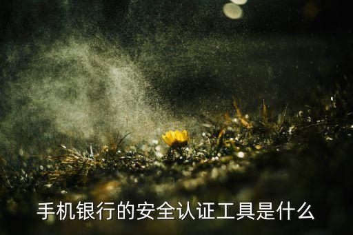 手機銀行的安全認(rèn)證工具是什么