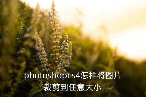 ps裁剪工具怎么自由裁剪，PS的裁剪工具為什么不能自由裁剪已經(jīng)點擊了清除選項