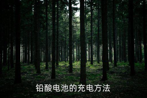鉛酸電池的充電方法