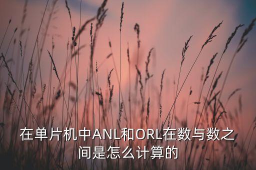 orl，orl是NBA哪支隊