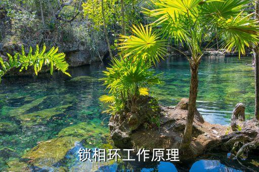 鎖相環(huán)的作用，鎖相環(huán)電路的工作原理