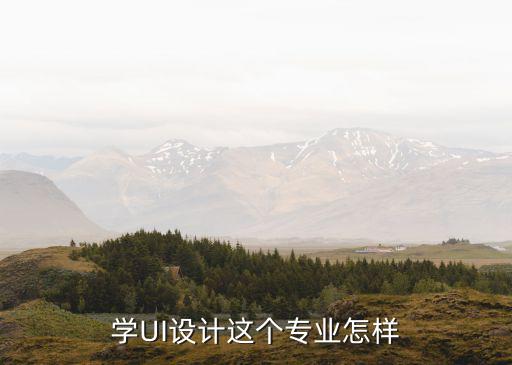 學(xué)UI設(shè)計(jì)這個(gè)專業(yè)怎樣