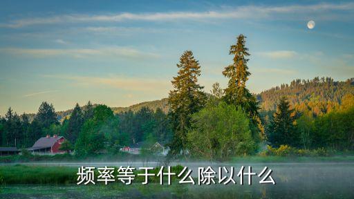 頻率等于什么，頻率應(yīng)該怎么表示是小數(shù)還是百分?jǐn)?shù)