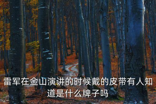 雷軍在金山演講的時(shí)候戴的皮帶有人知道是什么牌子嗎