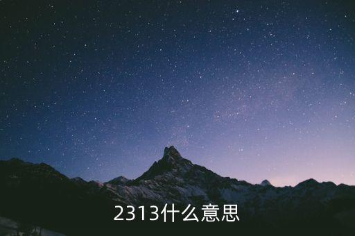 2313，2313什么意思