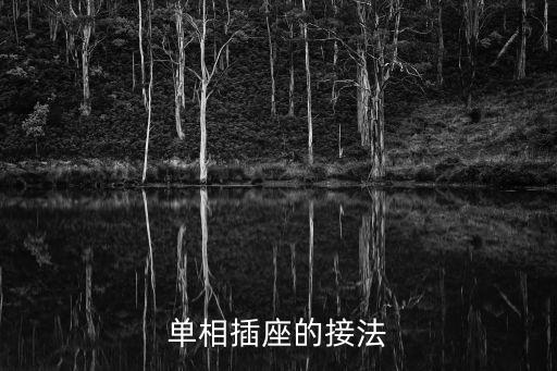 單相插座，插座單相三相是什么意思啊