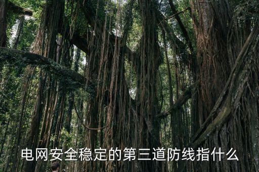電網(wǎng)安全穩(wěn)定的第三道防線指什么