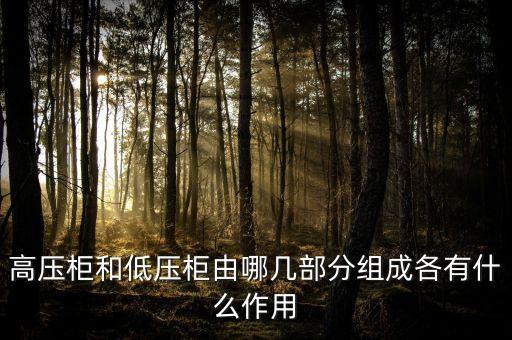 高壓柜和低壓柜由哪幾部分組成各有什么作用