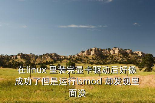 在linux 里裝完顯卡驅(qū)動后好像成功了但是運行l(wèi)smod 卻發(fā)現(xiàn)里面沒