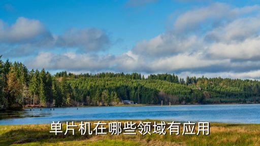 單片機應(yīng)用，單片機在哪些領(lǐng)域應(yīng)用