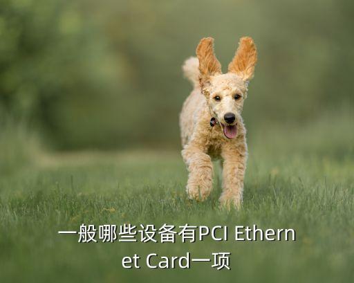 一般哪些設(shè)備有PCI Ethernet Card一項