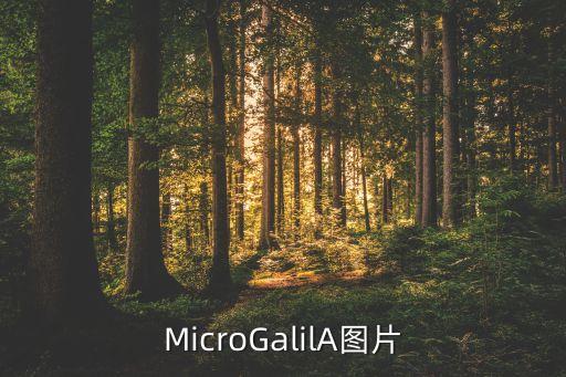 MicroGalilA圖片