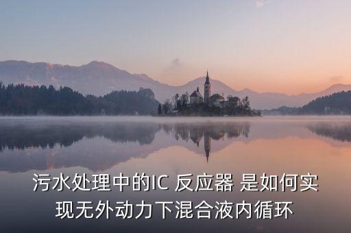 ic反應(yīng)器，誰能提供IC反應(yīng)更詳細的介紹資料哇拜托拜托
