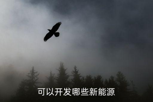 新能源項(xiàng)目，可以開(kāi)發(fā)哪些新能源