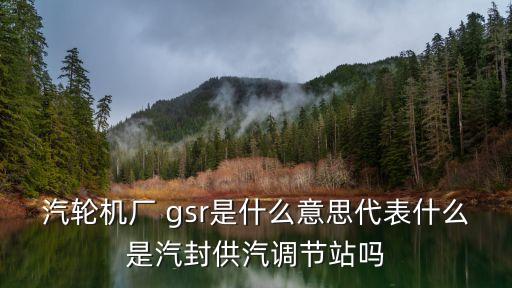汽輪機(jī)廠 gsr是什么意思代表什么是汽封供汽調(diào)節(jié)站嗎