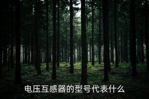 電壓互感器的型號(hào)代表什么