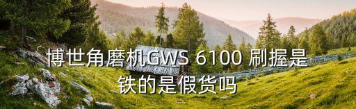博世角磨機(jī)GWS 6100 刷握是鐵的是假貨嗎