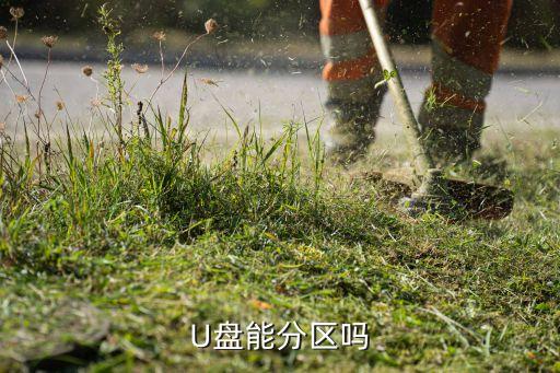 cs1237，如何使用cs1237 使用代碼