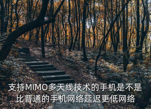 mimo技術，小米mix 2具備 22 mimo 技術是什么意思