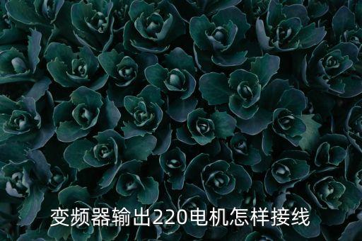 臺(tái)達(dá)變頻器接線圖，臺(tái)達(dá)變頻器接線高手請(qǐng)進(jìn)