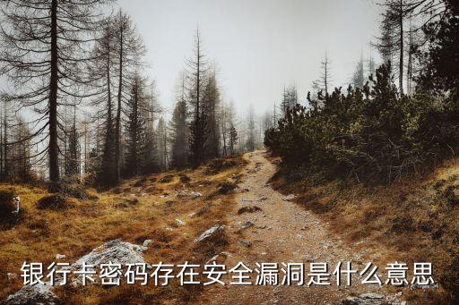 銀行卡密碼存在安全漏洞是什么意思