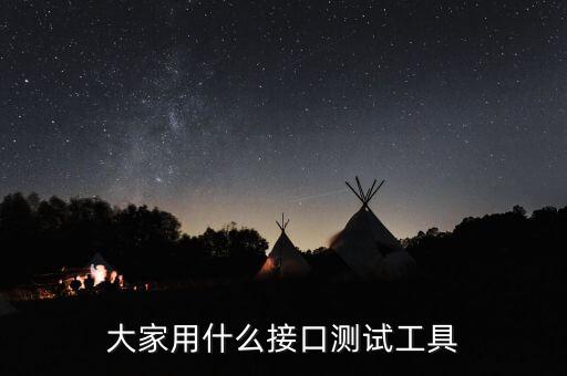 大家用什么接口測(cè)試工具