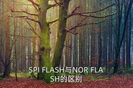 SPI FLASH與NOR FLASH的區(qū)別