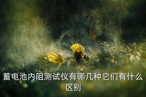 蓄電池內(nèi)阻測(cè)試儀有哪幾種它們有什么區(qū)別