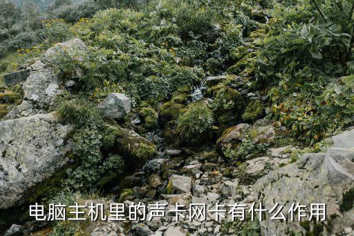 電腦主機里的聲卡網(wǎng)卡有什么作用