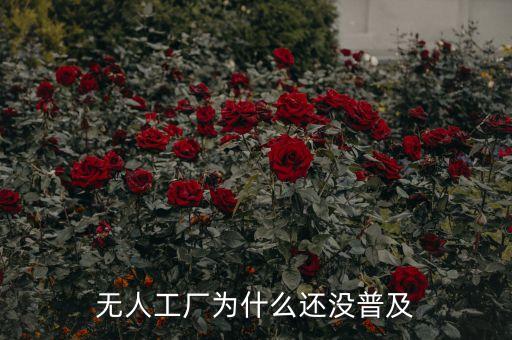 無人工廠為什么還沒普及