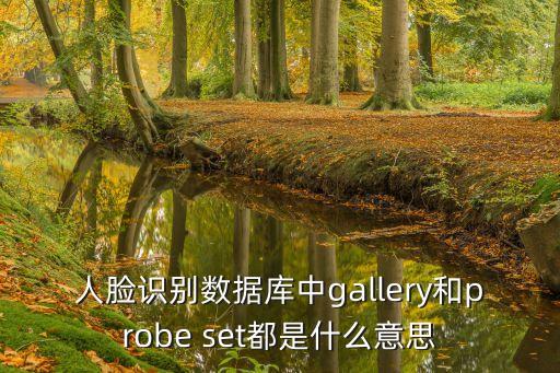 人臉識別數(shù)據(jù)庫中g(shù)allery和probe set都是什么意思