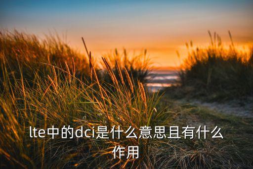 dci，DCT和DCI有什么區(qū)別