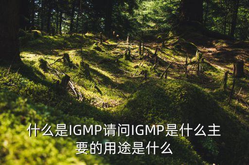 什么是IGMP請問IGMP是什么主要的用途是什么