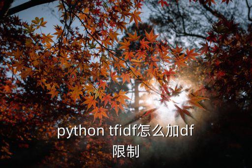 python tfidf怎么加df限制