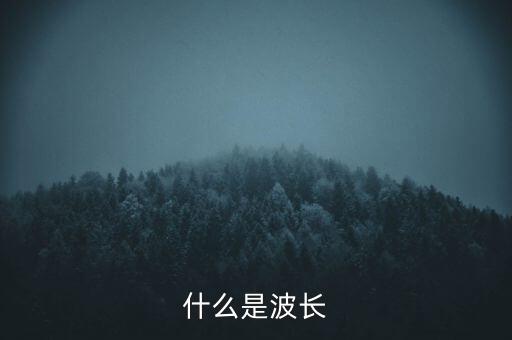 波長，什么是波長