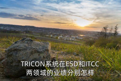 TRICON系統(tǒng)在ESD和ITCC兩領(lǐng)域的業(yè)績分別怎樣