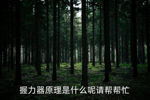 握力器原理是什么呢請(qǐng)幫幫忙