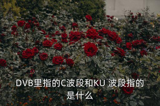 DVB里指的C波段和KU 波段指的是什么