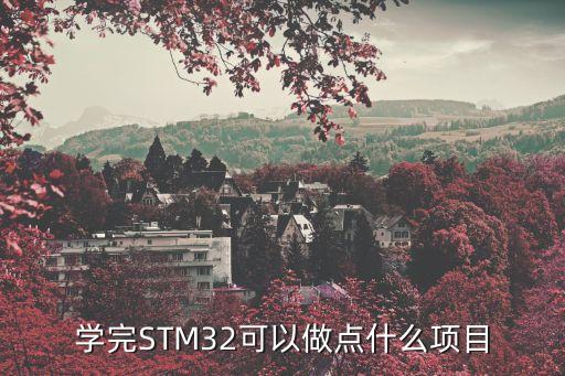 stm32是什么，學完STM32可以做點什么項目