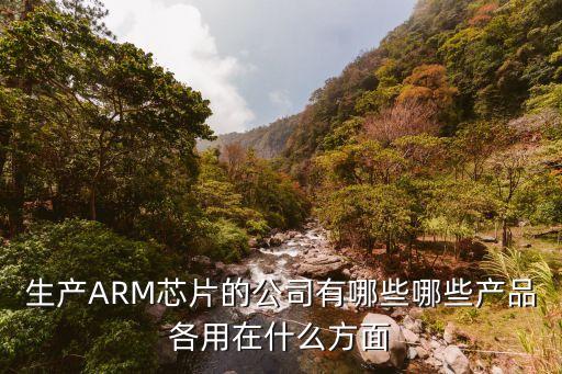 生產(chǎn)ARM芯片的公司有哪些哪些產(chǎn)品各用在什么方面